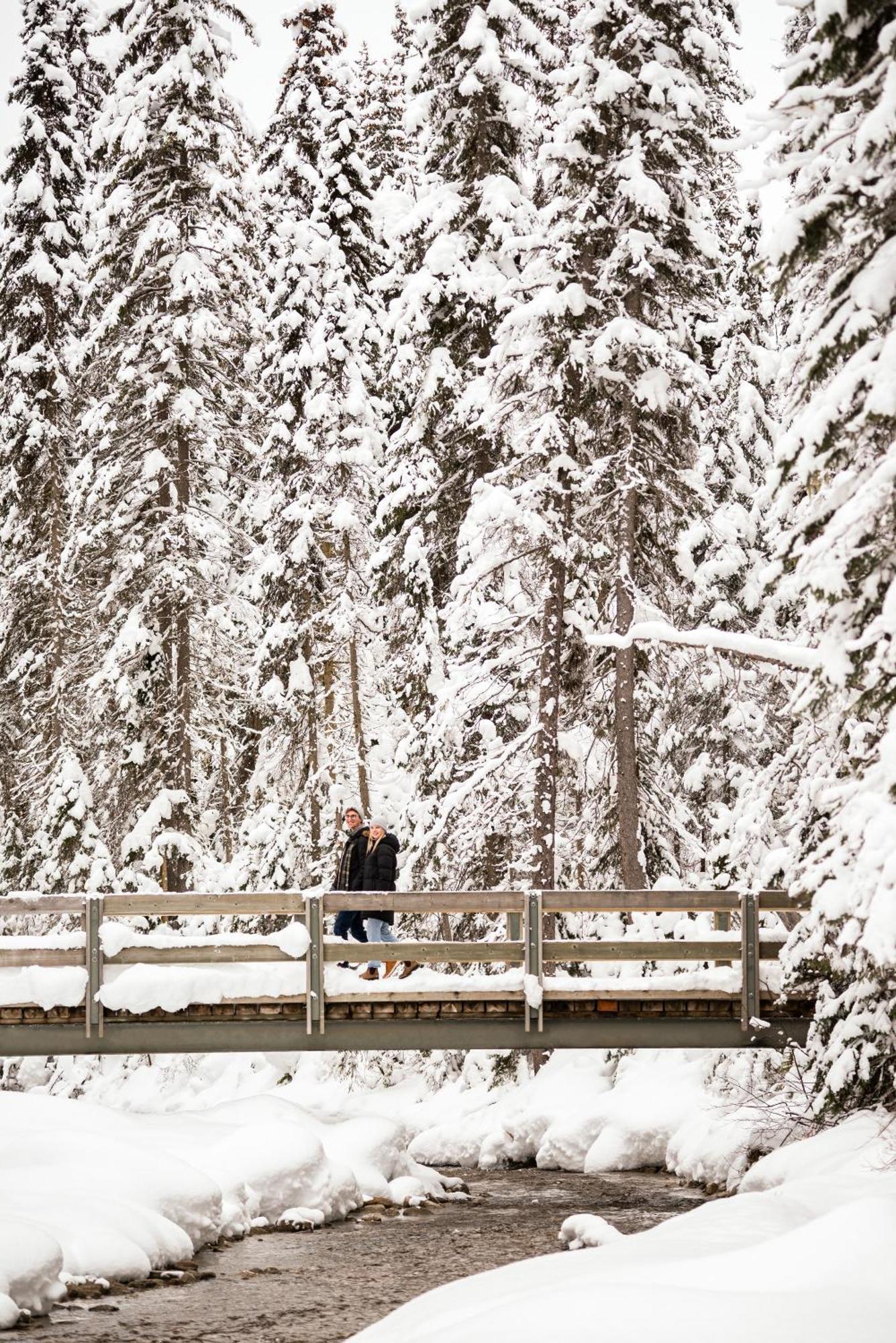 Emerald Lake Lodge Field Luaran gambar