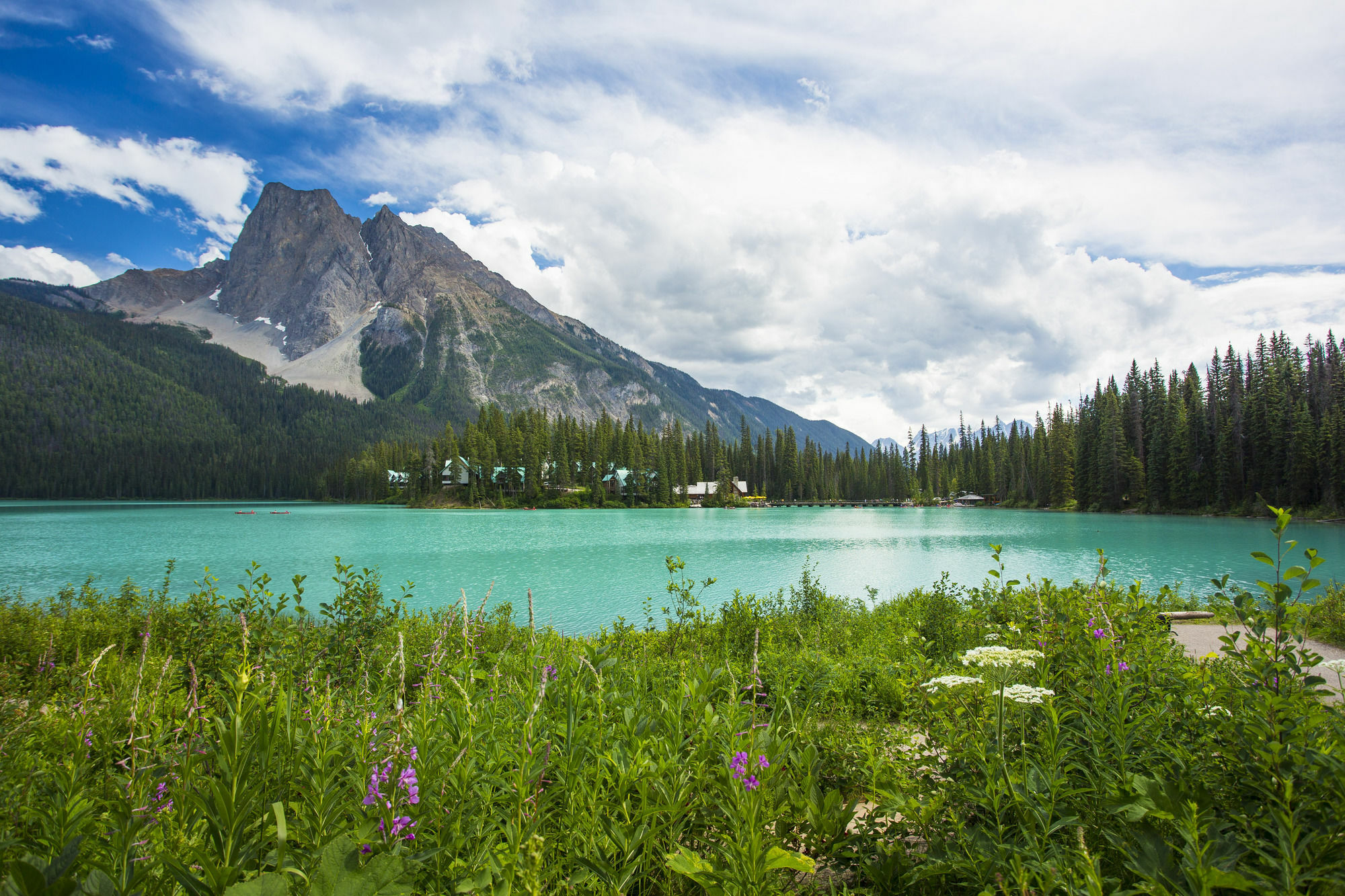 Emerald Lake Lodge Field Luaran gambar